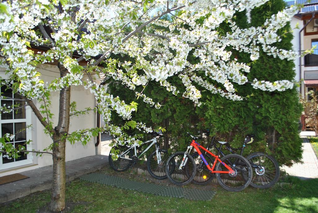 Apartament Alpha Apartment Bistrita  Exterior photo